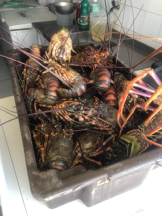 Paraiso Dos Corais Guarajuba Zewnętrze zdjęcie